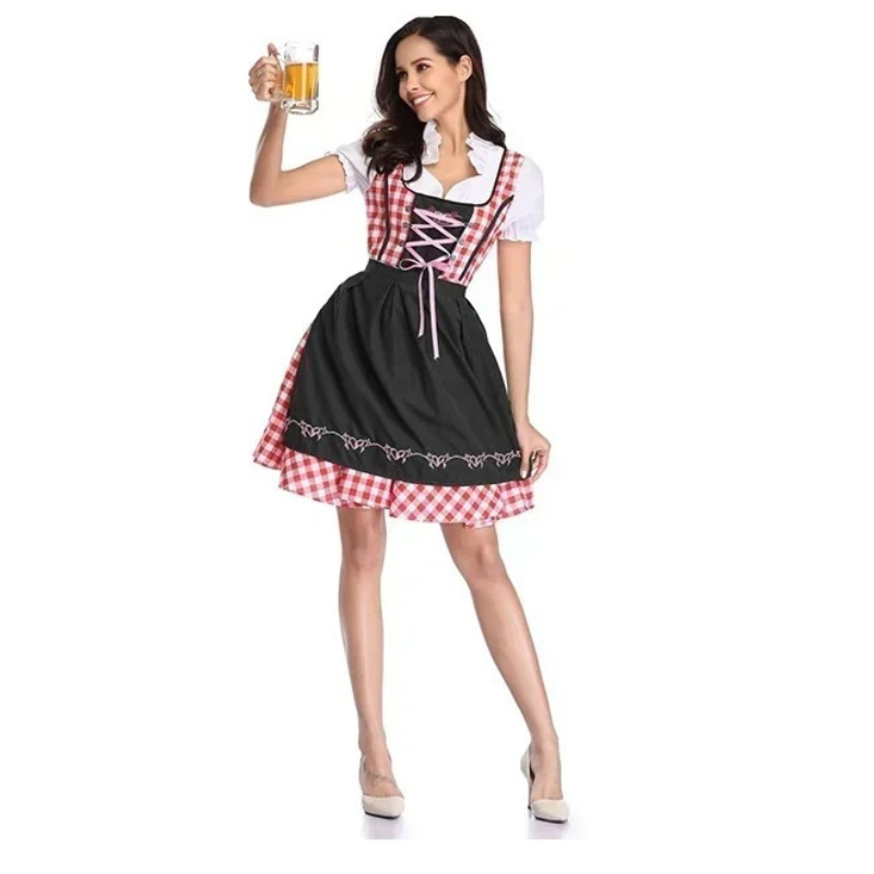 Zindrel - Dirndl Dames Jurk met Geruite Blouse en Geborduurd Schort