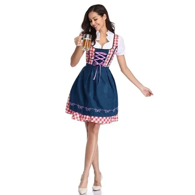 Zindrel - Dirndl Dames Jurk met Geruite Blouse en Geborduurd Schort