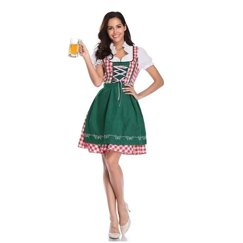 Zindrel - Dirndl Dames Jurk met Geruite Blouse en Geborduurd Schort