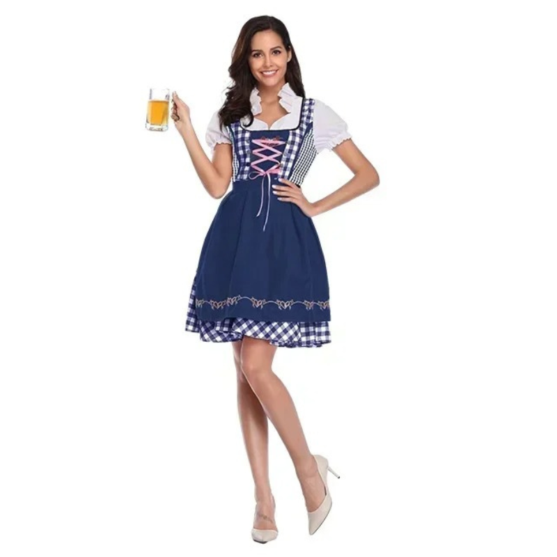 Zindrel - Dirndl Dames Jurk met Geruite Blouse en Geborduurd Schort